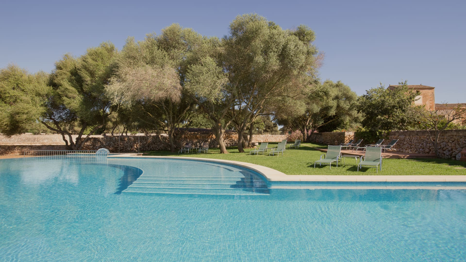 Detalle de la zona de piscina, con olivos al fondo