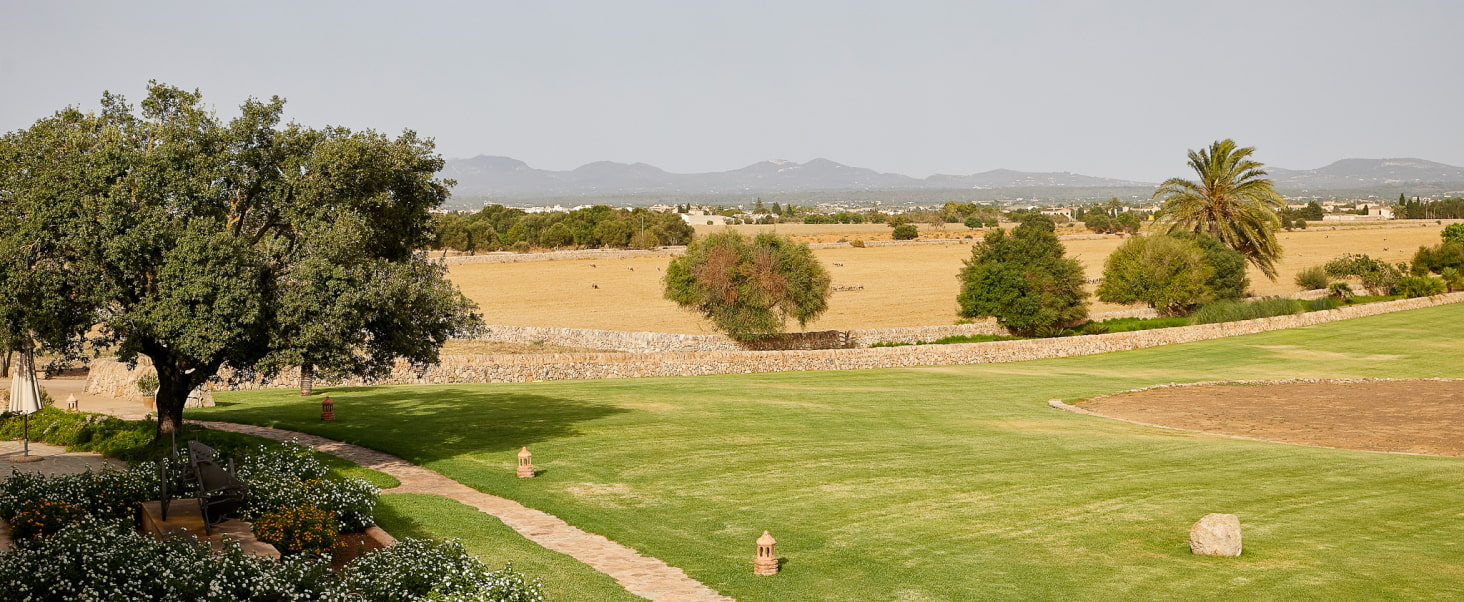 Fields surrounding the Son Cosmet estate