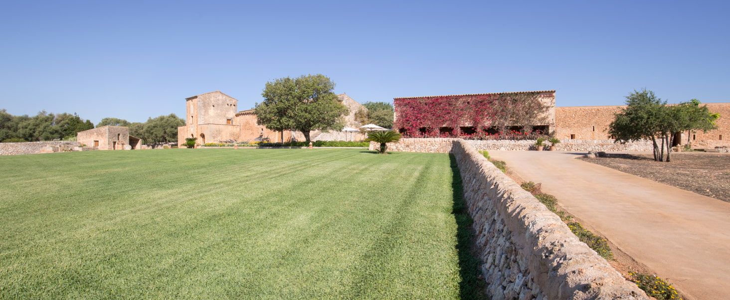 Vista de la gran extensión de campo que rodea Son Cosmet