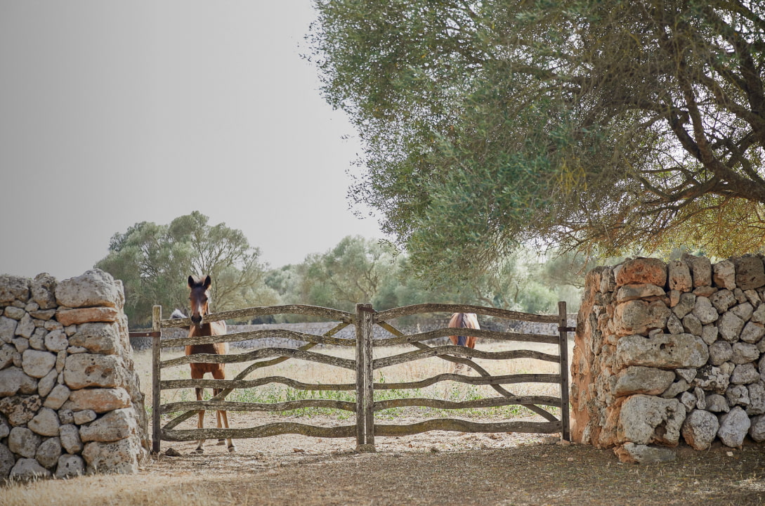 Cercado con dos caballos en las instalaciones del hotel