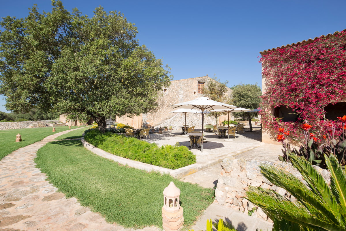 Paved path surrounding the Son Cosmet garden