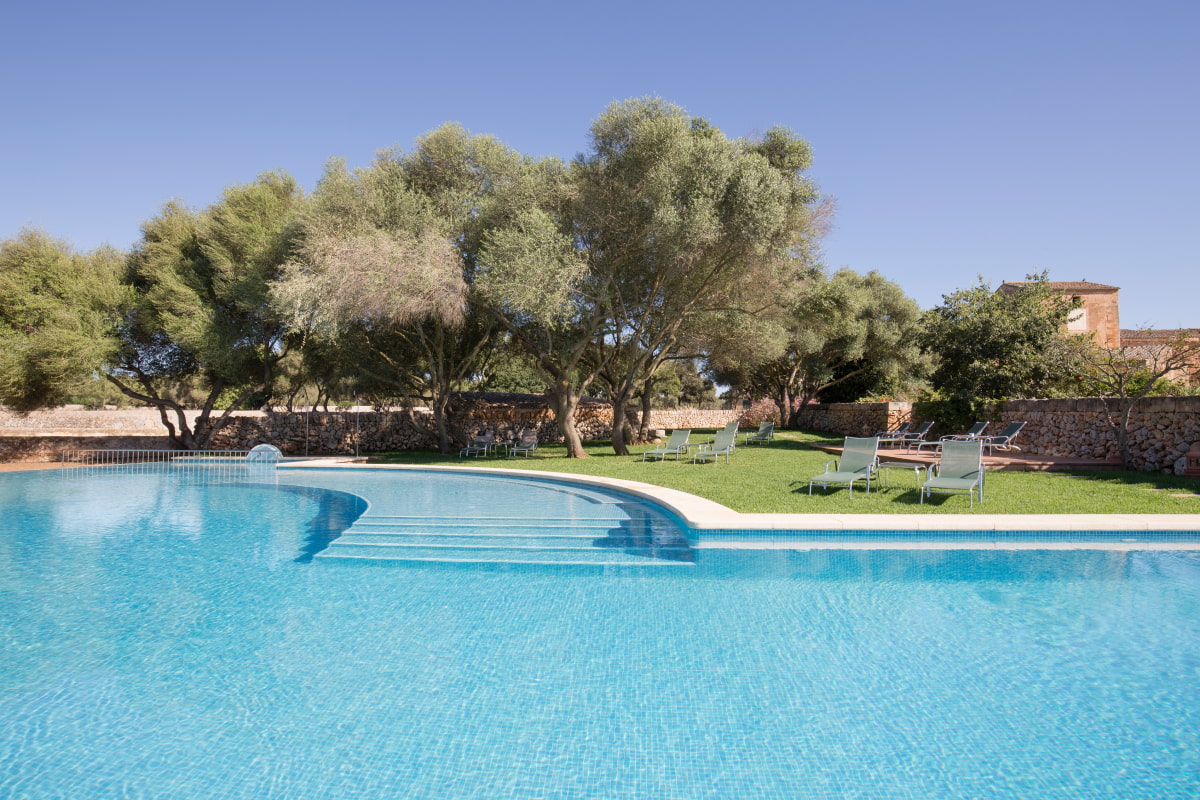 Outdoor swimming pool surrounded by olive trees