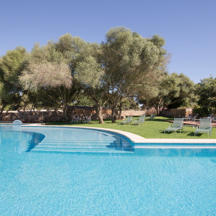 Outdoor pool surrounded by olive trees