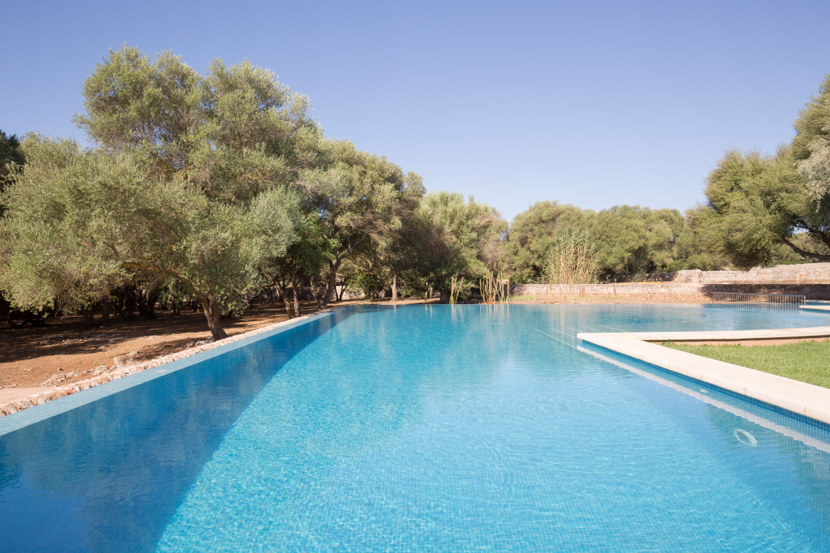 Infinity pool next to the olive trees