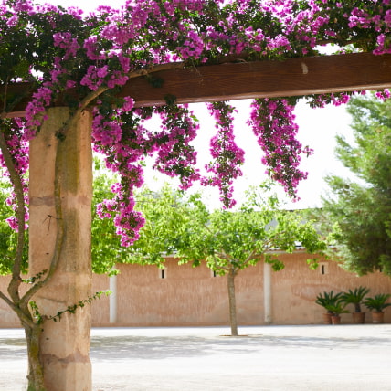 Pórtico exterior con flores