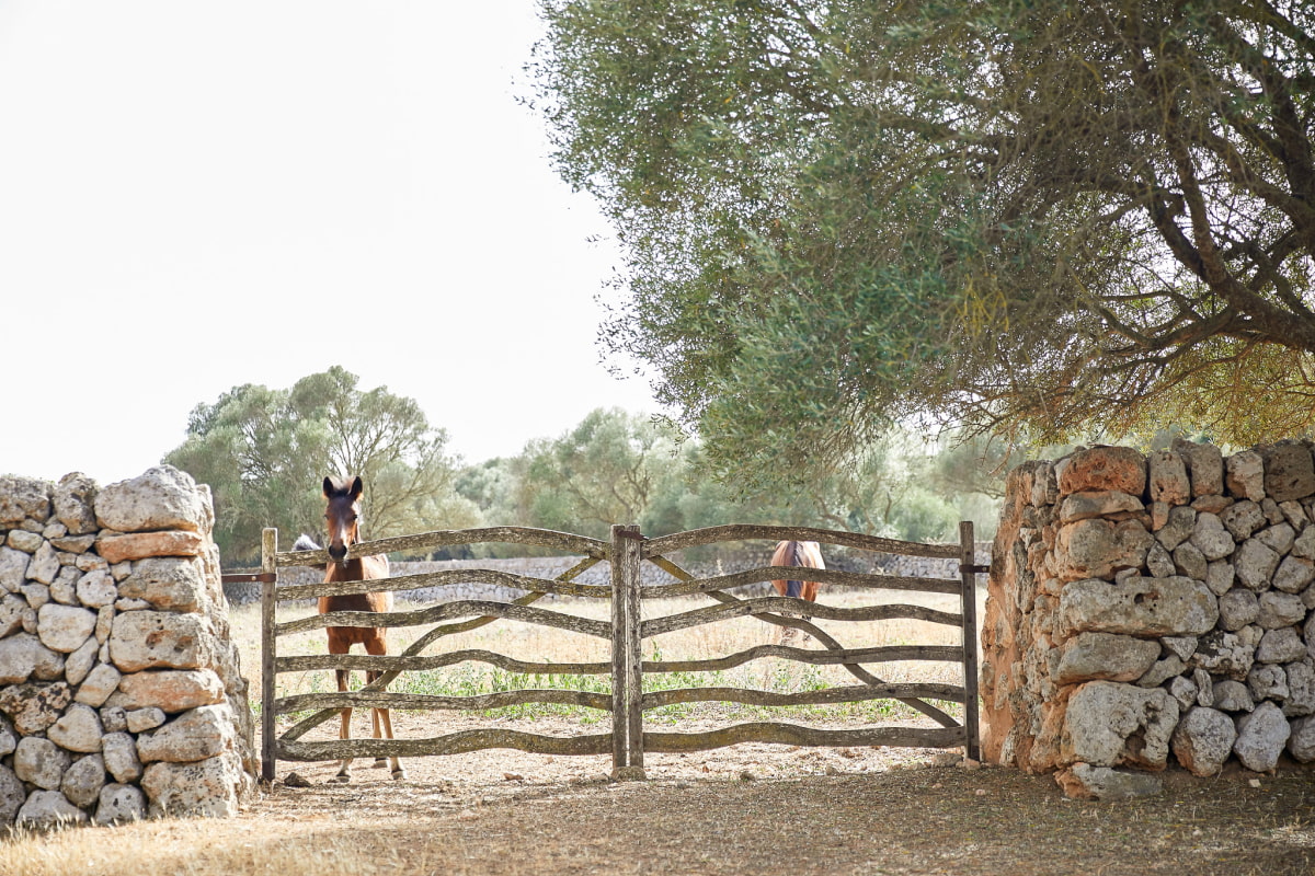 Zona vallada con  caballos