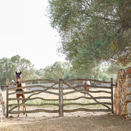 Zona vallada con  caballos