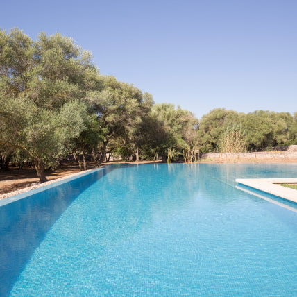 Infinity pool next to the olive trees