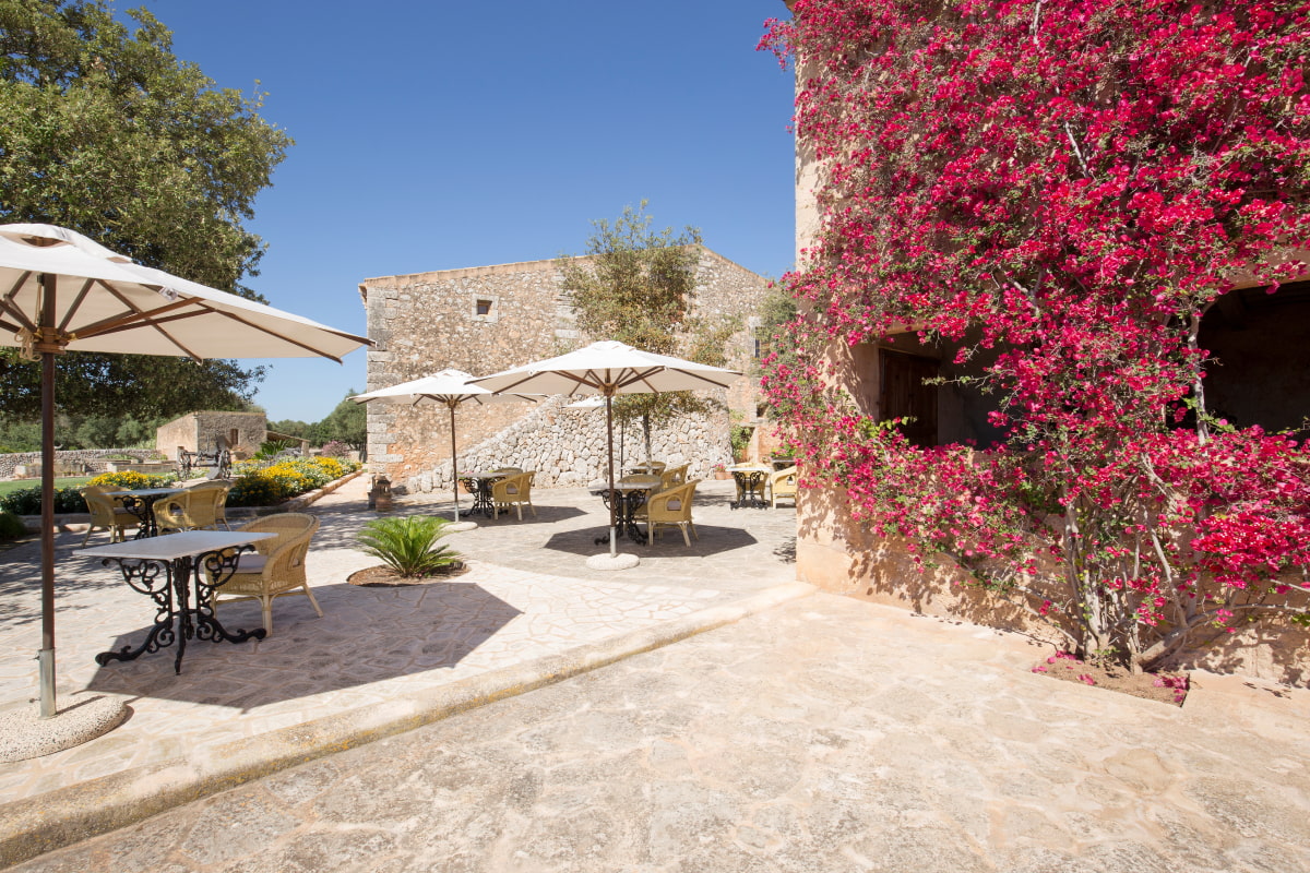 Outdoor terrace of the hotel