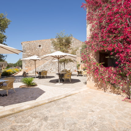 Outdoor terrace of the hotel