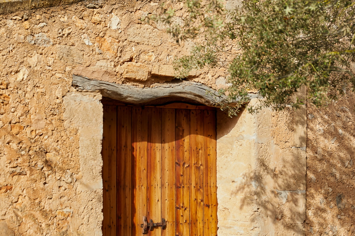 Detail of a rustic door