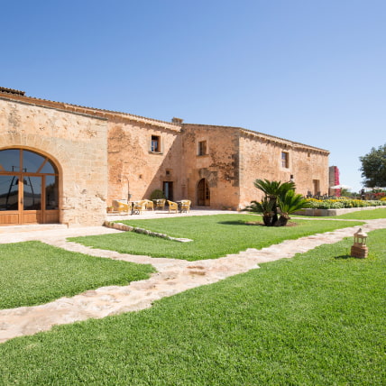 Fields surrounding the Hotel Son Cosmet.