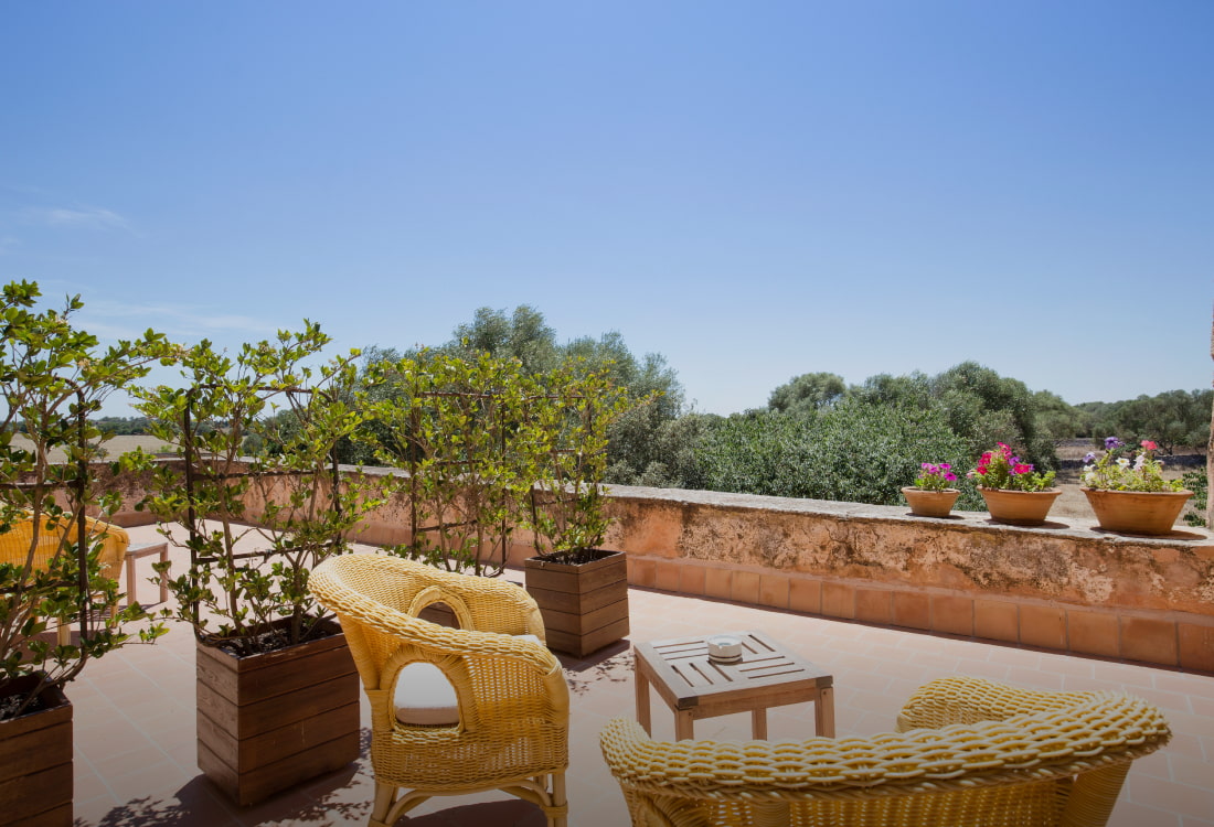 Impresionante terraza con vistas a los jardines